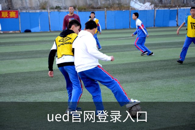 ued官网登录入口公司介绍图片